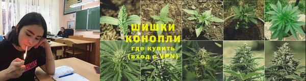 прущие крисы Богданович